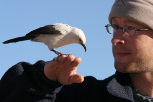 Image of Professor Andy Radford